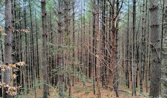 1 81 Acres On Conroy Ct 86, Collettsville, NC 28611