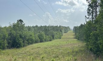 81 1+/- AC Old River Rd, Baker, FL 32531