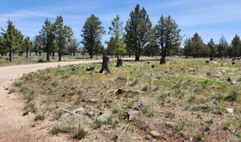 65808 Highway 140, Bly, OR 97622