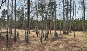 Red Oak Creek Road, Bethune, SC 29009