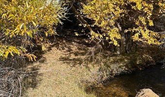 700 Davis Meadow Trl, Dyer, NV 89010