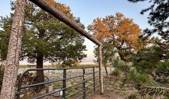 280 N8355 Parcel 1, Concho, AZ 85924