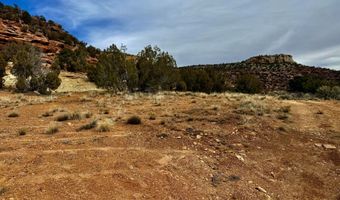 TBD X4 Road, Bedrock, CO 81411