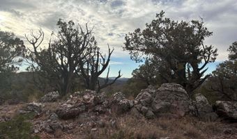 488 B & C Scorpion, Ash Fork, AZ 86320