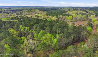 Harrisville Braxton Road, Braxton, MS 39044