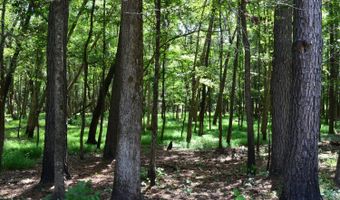 0 County Rd 22, Auburn, AL 36830