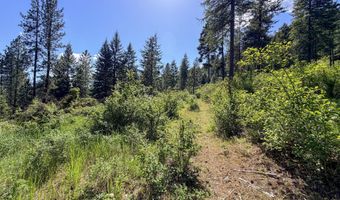 2008- TBD LOT K SUMMIT VALLEY Rd, Addy, WA 99101