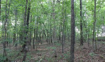 999 Whites Crossing Rd, Ashland, MS 38603