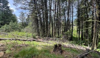 Tbd Hilltop Road 43 & 44, Cascade, ID 83611