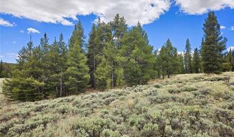 700 Looney Ln Lot 0, Alma, CO 80420