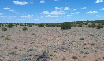 Tbd Ranch of the White Mountains, Concho, AZ 85924