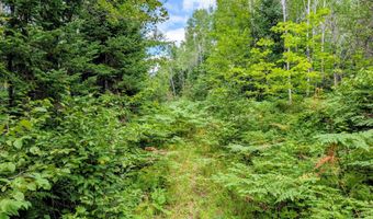 33 Acres Off Net Riv, Amasa, MI 49903