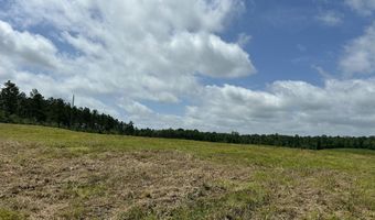 0 Otis Paine Rd, Bethel Springs, TN 38315