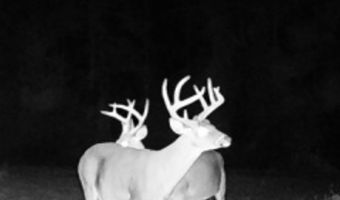 22 Hwy, Adamsville, TN 38310