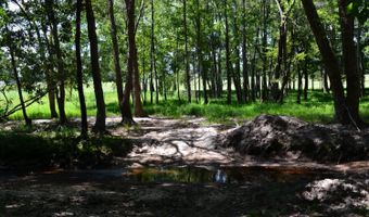 0 County Rd 22, Auburn, AL 36830