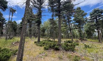 Lot 310 S Vail Overlook, Angel Fire, NM 87710