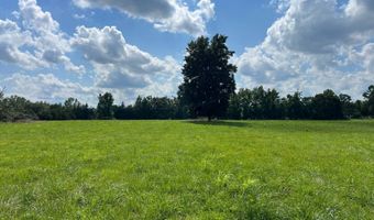 420 Sheffield Rd, Adamsville, TN 38310
