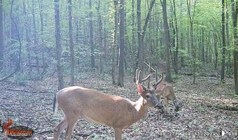 590 County Road 247, Bruce, MS 38915