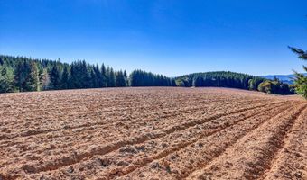 21076 NW Green Mountain Rd, Banks, OR 97106