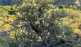 Carp Road, Caliente, NV 89008