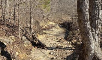000 Ak Hwy S Ak Hwy S, Ava, MO 65608