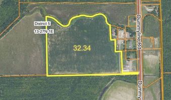 Dummyline Road, Batesville, MS 38606