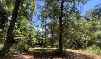 0 Christi Smith Rd, Andalusia, AL 36421