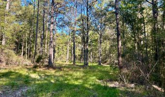 0 Lloyd Mill Rd, Andalusia, AL 36421