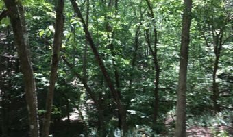 Damascus Road, Ball Ground, GA 30107