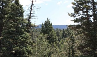 El Camino Real, Angel Fire, NM 87710