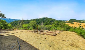 1991 Steelhead Rd, Alderpoint, CA 95511