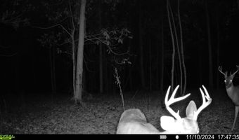 0 Old HWY 51 NE, Brookhaven, MS 39601