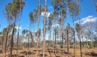 Smith County Road 99, Bay Springs, MS 39422