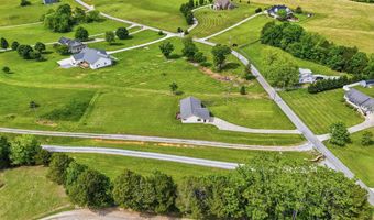 520 Calico Rd, Afton, TN 37616