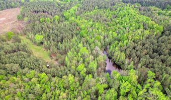 6995 Cobbham Rd, Appling, GA 30802