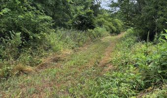 3702 Round House Rd, Aurora, MO 65605