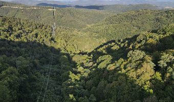 43 Sanctuary Ln, Alderson, WV 24910