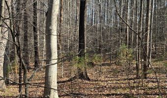 Parsons Road, Ashland, VA 23015