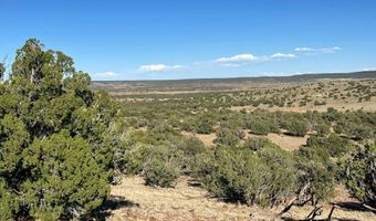 2 N8604, Concho, AZ 85924