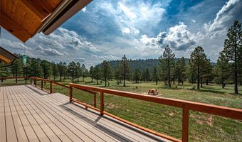 115 Blue Deer Ranch Road B-109, Buena Vista, NM 87712