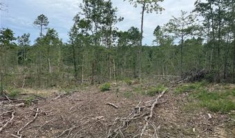 Tract 2 Hidden Valley, Annapolis, MO 63628