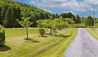 2607 Lower Dingle Hill Rd, Andes, NY 13731