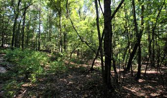 000 Sorrell Rd, Benton, AR 72015