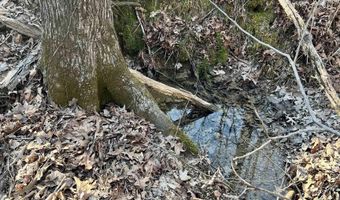 SPRINGHOLLOW ROAD lot 11, Ashville, AL 35953