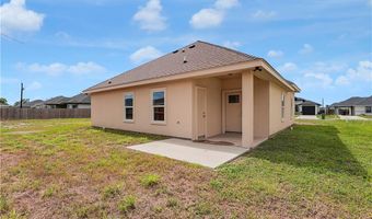 824 Lark St, Alamo, TX 78516