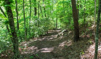 340 Big Mama Ln, Bassett, VA 24602