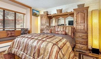 313 VINE St 313, Aspen, CO 81611