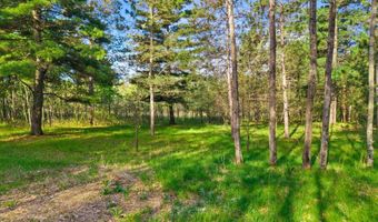 4 4 Ac MOL County Rd Z Lot 1 2, Adams, WI 54457