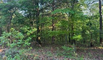 0 DAVIS ACRES Dr 72 & 73, Alpine, AL 35014