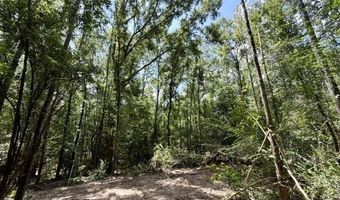 SE Lee Drive, Bogue Chitto, MS 39629